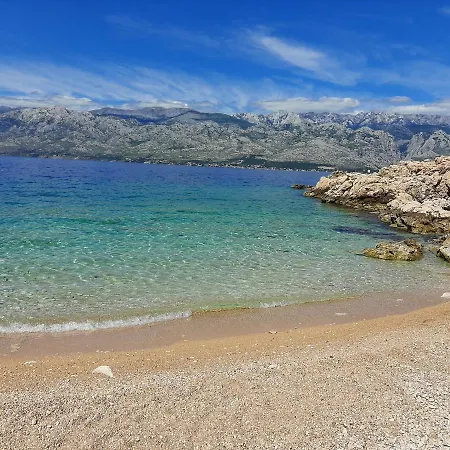 Nino Zadar
