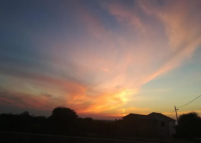 Апартаменты Nino